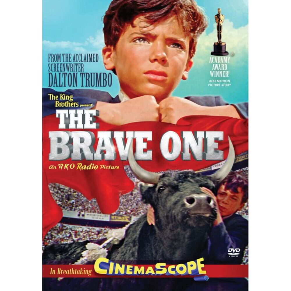 The Brave One  DVD